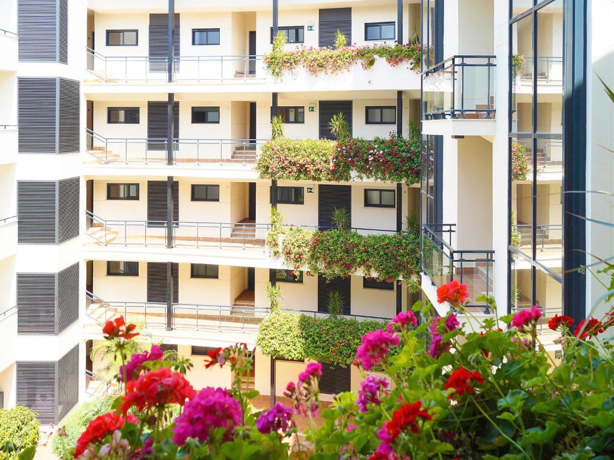 Cosmo Beach-1 By Interhome Apartment *